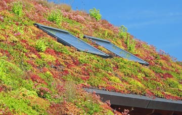 Meesden living roof systems